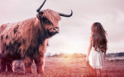 De drie fases die de meesten van ons doorlopen