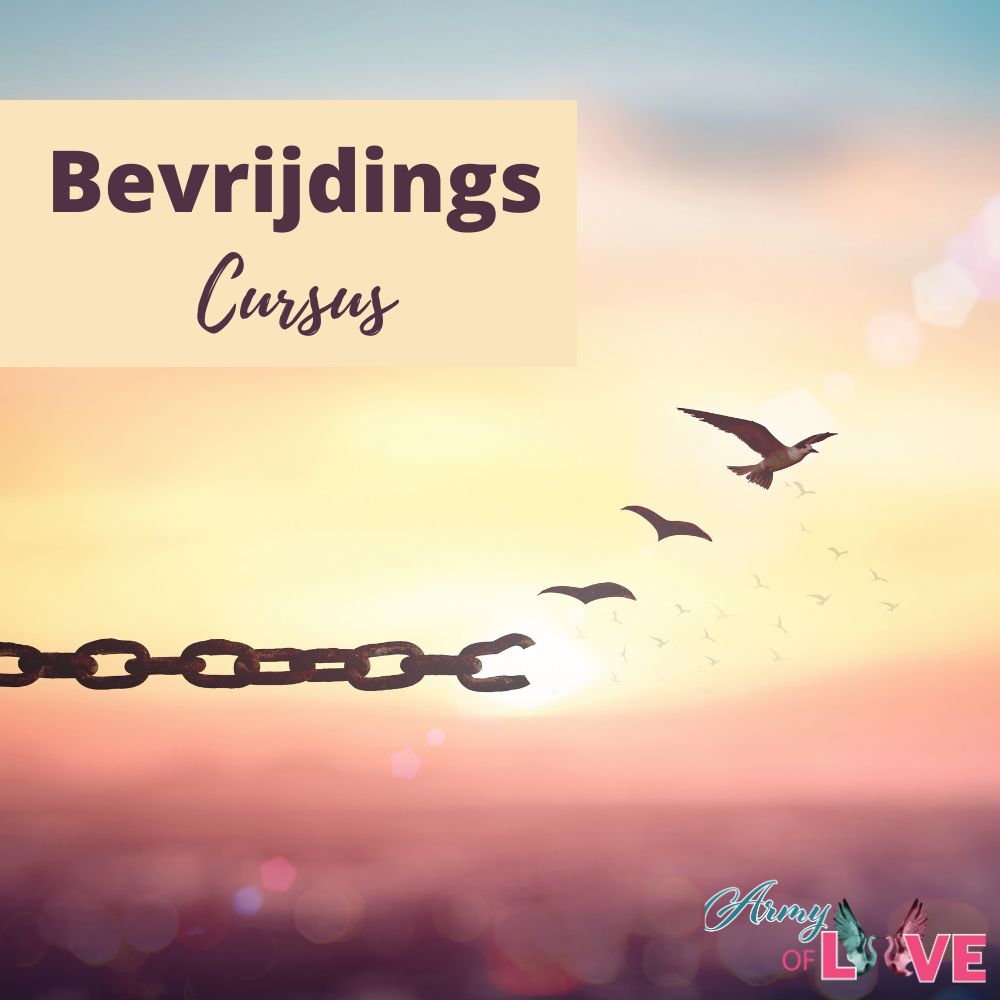 Bevrijdingscursus