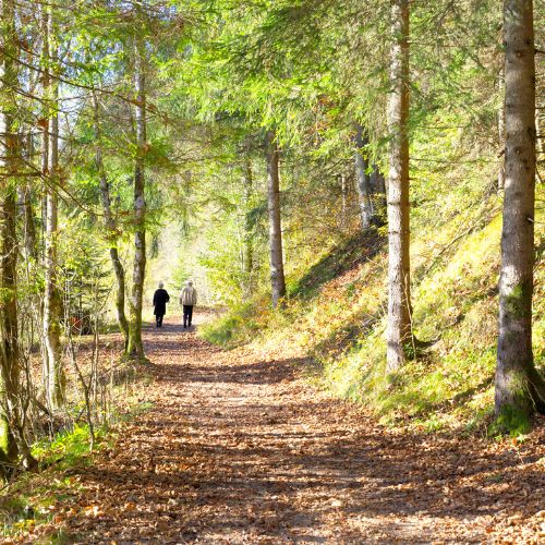 wandelen